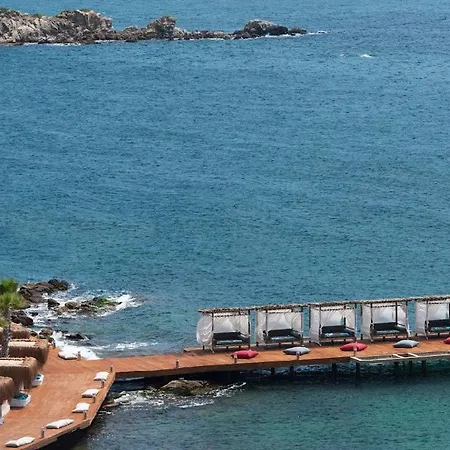 Family Terrace 4* 博德鲁姆