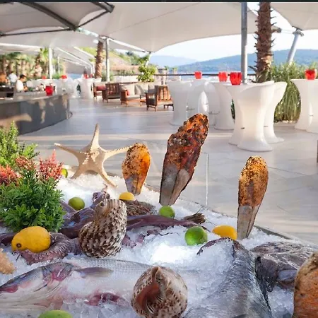 Nocleg ze śniadaniem Family Terrace Bodrum